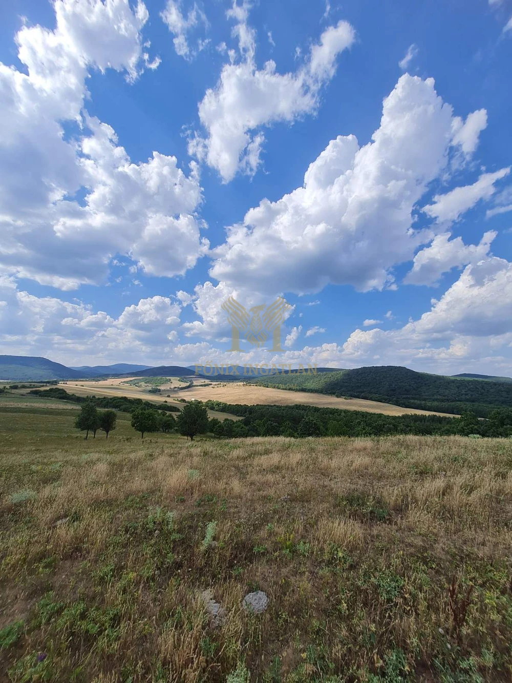 Panorámás fejlesztési telkek Szokolyán, erdővel – befektetőknek, természetközeli álomprojekthez!
