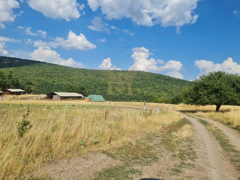 Panorámás fejlesztési telkek Szokolyán, erdővel – befektetőknek, természetközeli álomprojekthez!