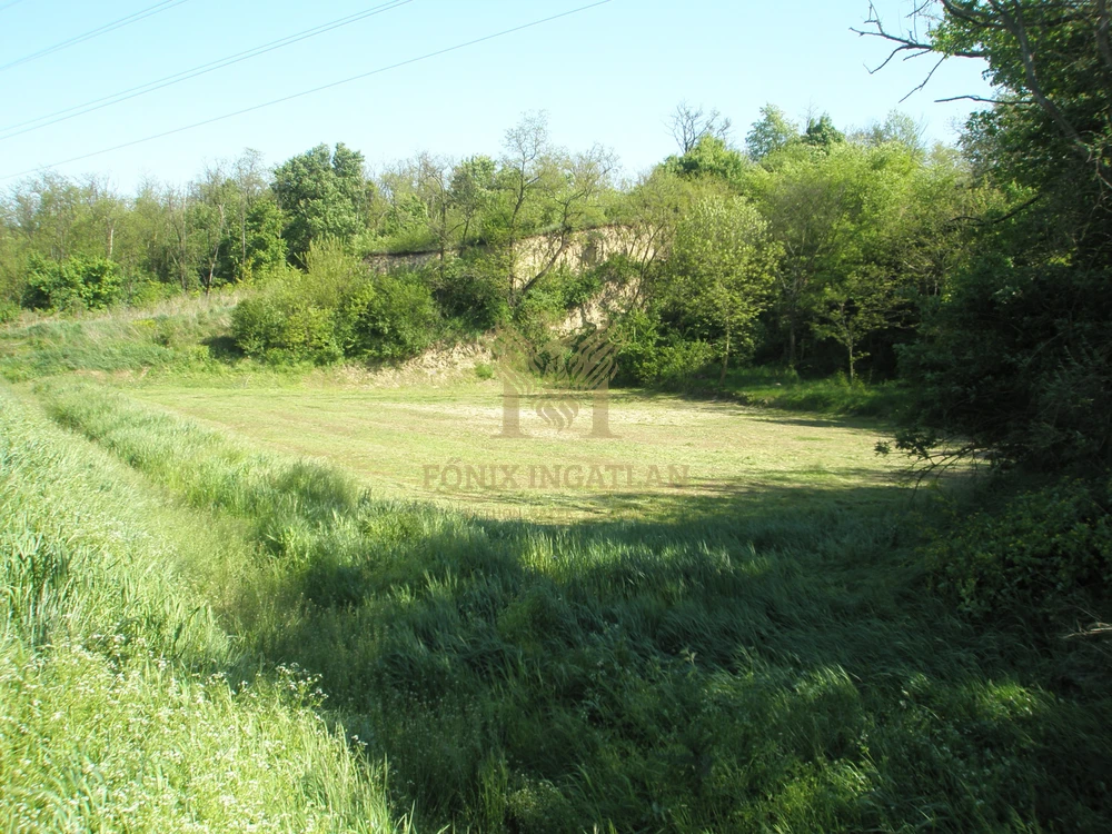 Kereskedelmi, szolgáltatási célra, Biatorbágy határában, főútvonal mellett, beépíthető telek eladó!